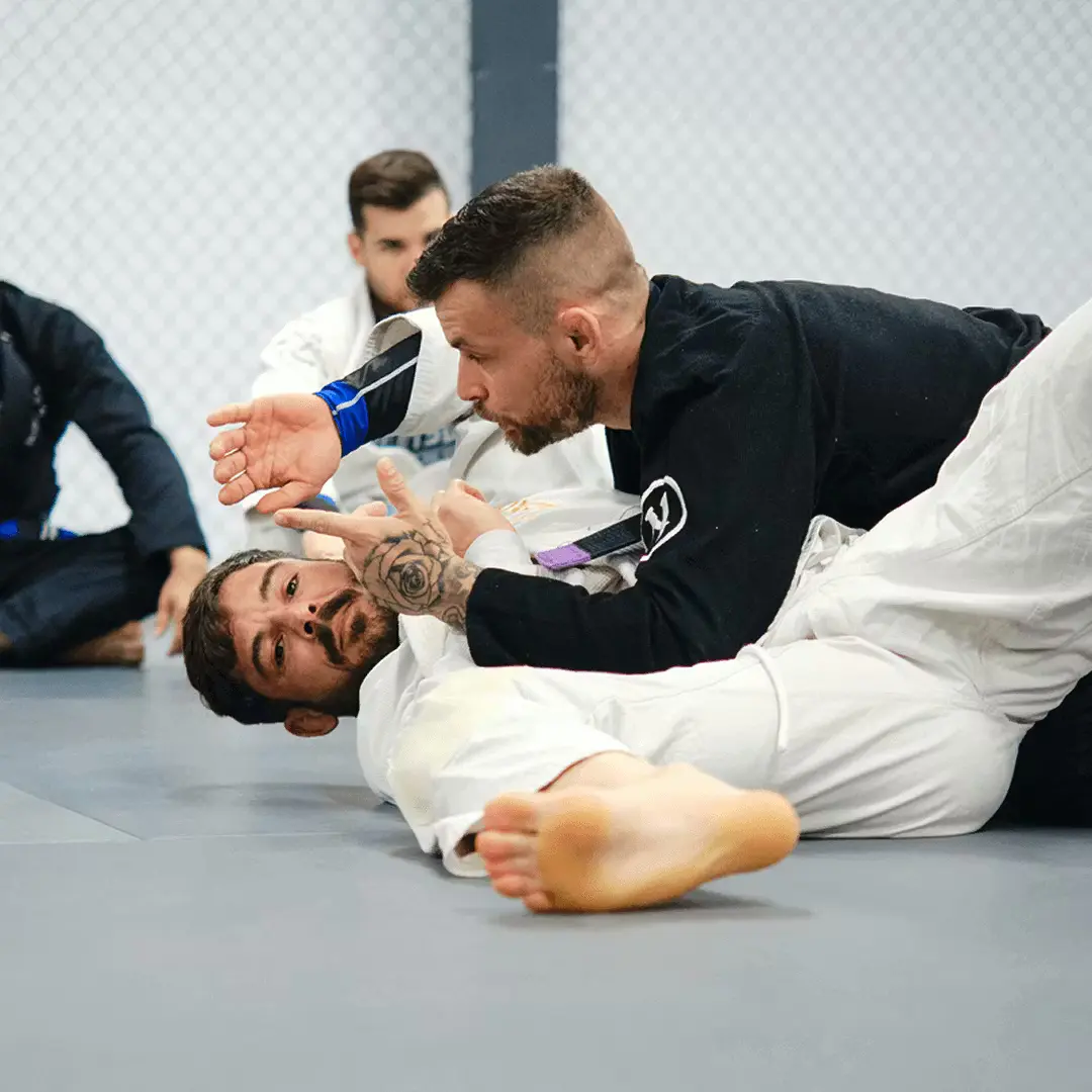 ROM Jiu Jitsu: A Journey from Passion to Purpose