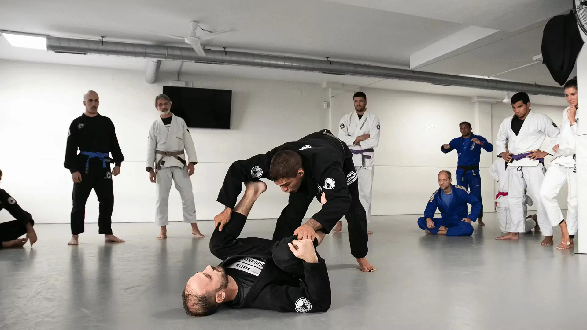 How to Keep BJJ Students Engaged