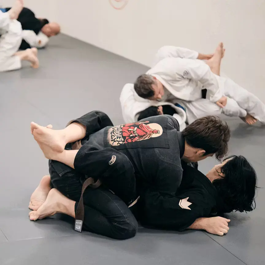 How MAAT’s Leaderboard Keeps BJJ Students Coming Back