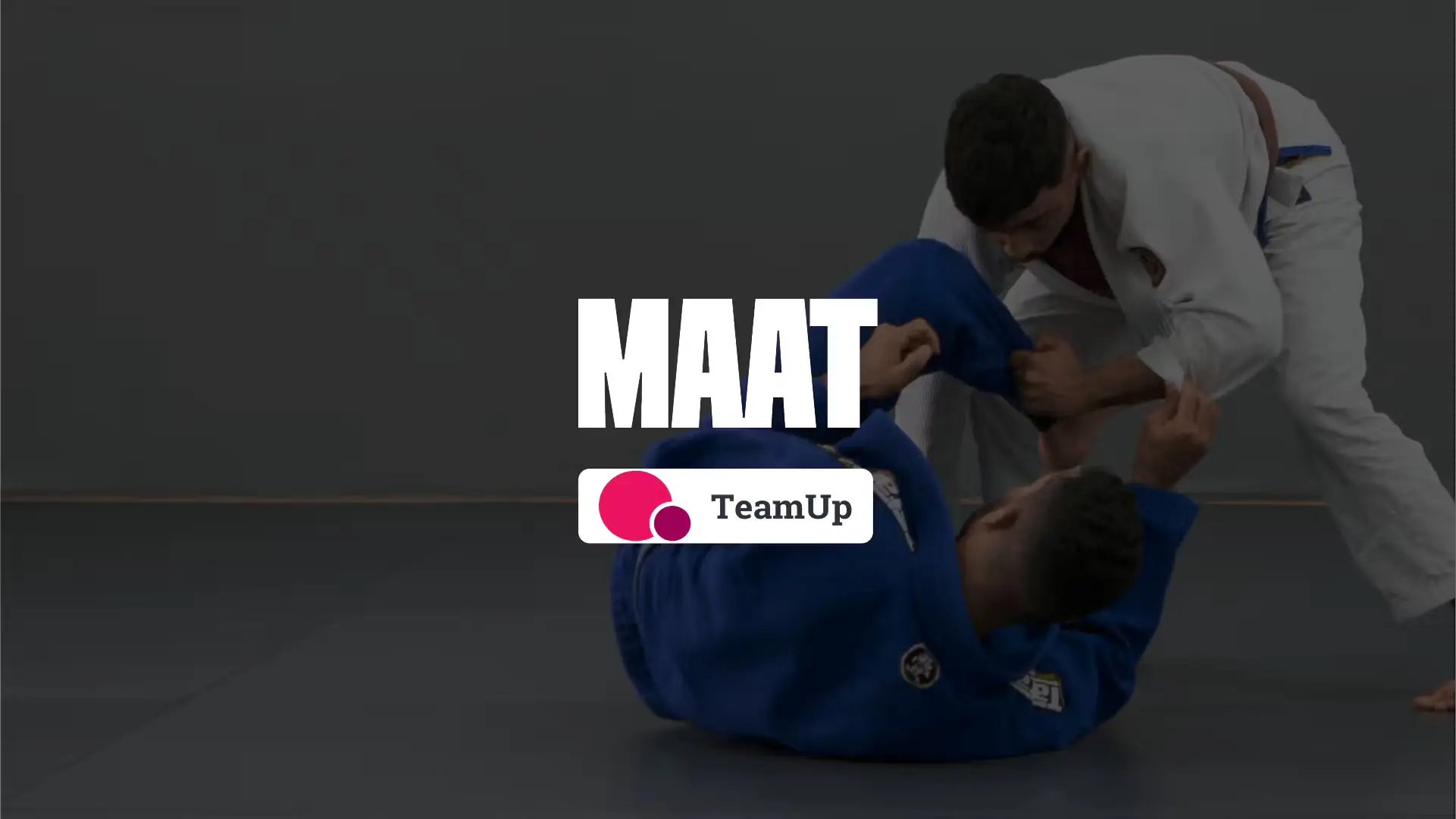 TeamUp vs MAAT: Which One To Choose For BJJ and MMA Gyms?