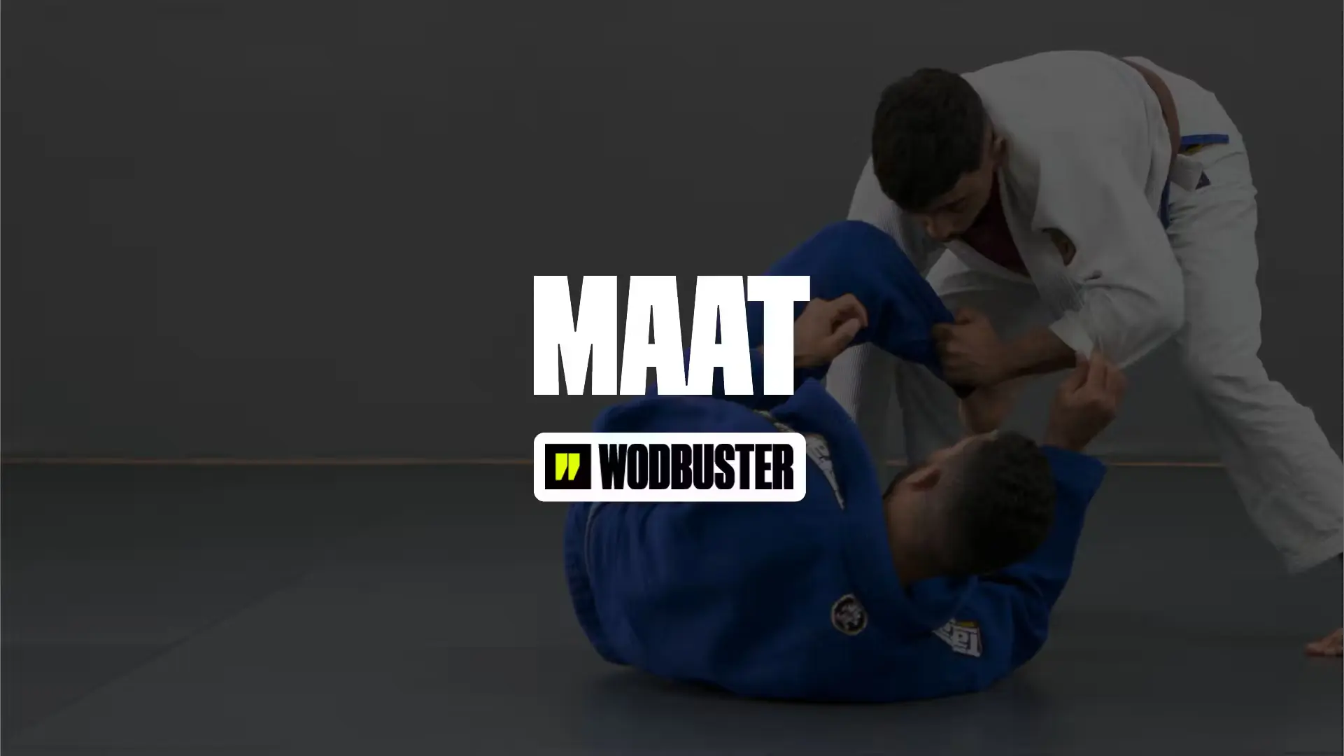 Wodbuster vs MAAT: Which one to choose for BJJ and MMA Gyms?