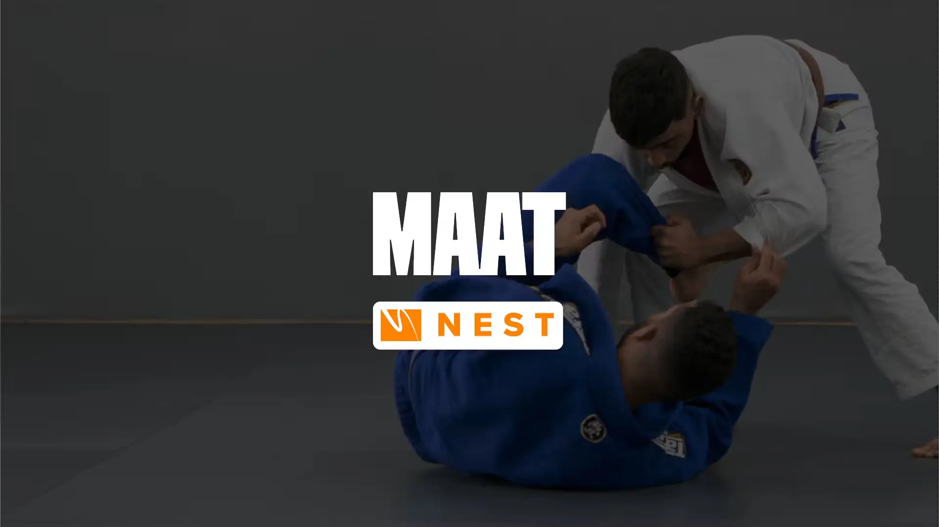 Nest vs MAAT: Which one to choose for a BJJ gym?